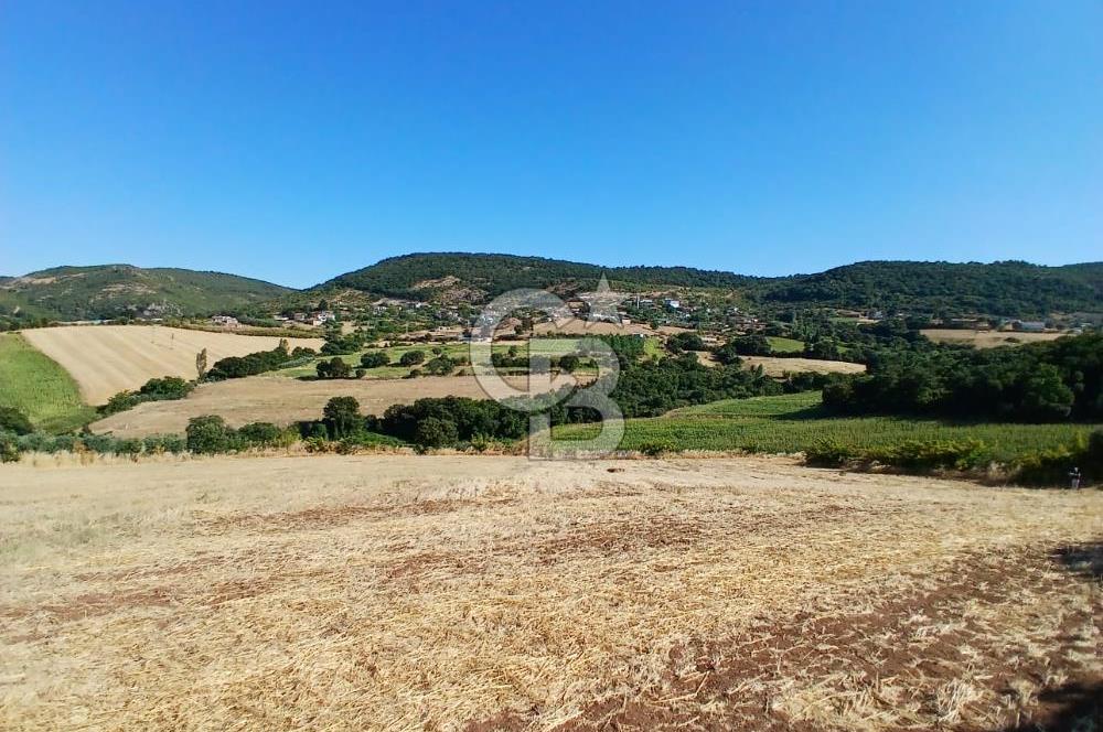 BALIKESİR GÖNEN KINALAR MAHALLESİ'NDE SATILIIK  ARAZİ