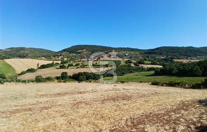 BALIKESİR GÖNEN KINALAR MAHALLESİ'NDE SATILIIK  ARAZİ