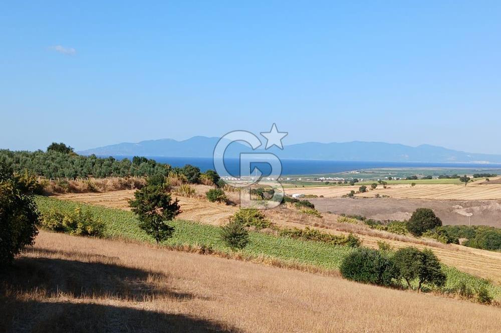 BALIKESİR GÖNEN KINALAR MAHALLESİ'NDE SATILIIK  ARAZİ