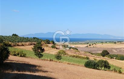BALIKESİR GÖNEN KINALAR MAHALLESİ'NDE SATILIIK  ARAZİ