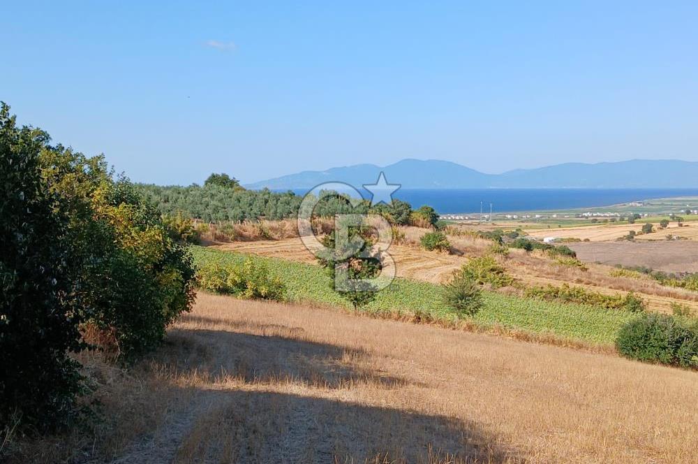 BALIKESİR GÖNEN KINALAR MAHALLESİ'NDE SATILIIK  ARAZİ