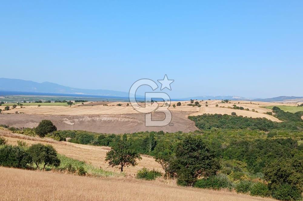 BALIKESİR GÖNEN KINALAR MAHALLESİ'NDE SATILIIK  ARAZİ