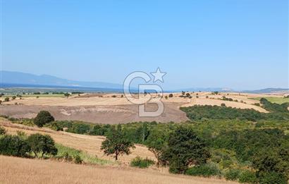 BALIKESİR GÖNEN KINALAR MAHALLESİ'NDE SATILIIK  ARAZİ