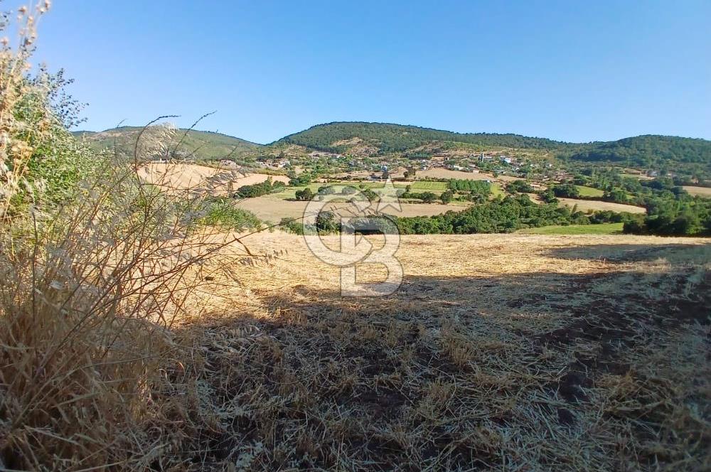 BALIKESİR GÖNEN KINALAR MAHALLESİ'NDE SATILIIK  ARAZİ