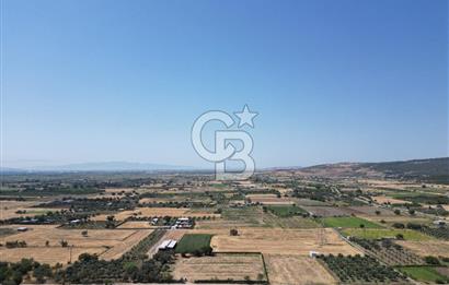 ALİAĞA HELVACI’DA SATILIK 5071 M2 MÜSTAKİL TARLA