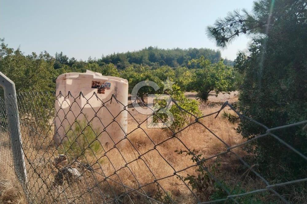 AYDIN GERMENCİK GÜMÜŞYENİ’NDE SATILIK 35.290 m² TARLA