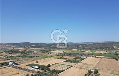ALİAĞA HELVACI’DA SATILIK 5071 M2 MÜSTAKİL TARLA