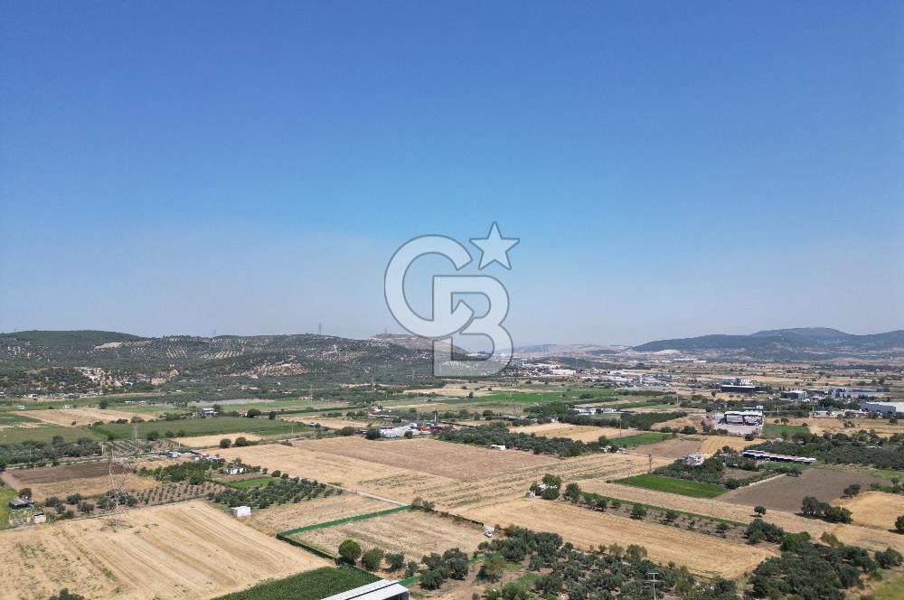 ALİAĞA HELVACI’DA SATILIK 5071 M2 MÜSTAKİL TARLA