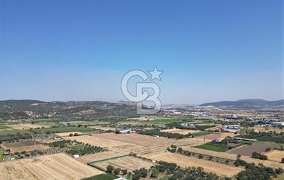 ALİAĞA HELVACI’DA SATILIK 5071 M2 MÜSTAKİL TARLA