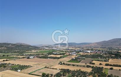 ALİAĞA HELVACI’DA SATILIK 5071 M2 MÜSTAKİL TARLA
