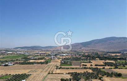 ALİAĞA HELVACI’DA SATILIK 5071 M2 MÜSTAKİL TARLA