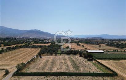 ALİAĞA HELVACI’DA SATILIK 5071 M2 MÜSTAKİL TARLA