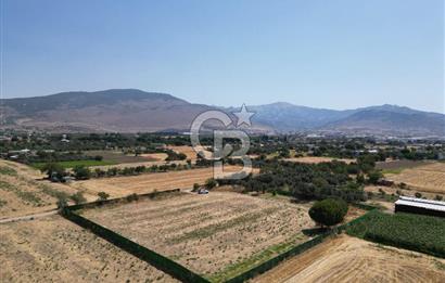 ALİAĞA HELVACI’DA SATILIK 5071 M2 MÜSTAKİL TARLA