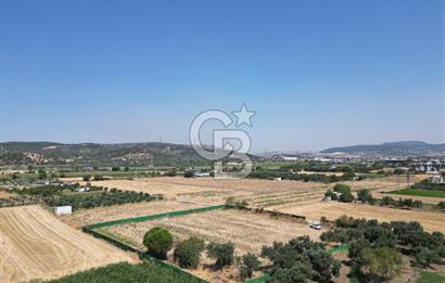 ALİAĞA HELVACI’DA SATILIK 5071 M2 MÜSTAKİL TARLA