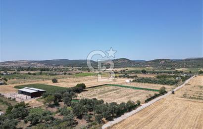 ALİAĞA HELVACI’DA SATILIK 5071 M2 MÜSTAKİL TARLA