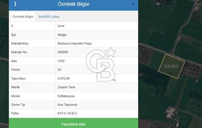 ALİAĞA HELVACI’DA SATILIK 5071 M2 MÜSTAKİL TARLA