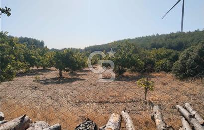 AYDIN GERMENCİK GÜMÜŞYENİ’NDE SATILIK 12.400 m² İNCİR BAHÇESİ