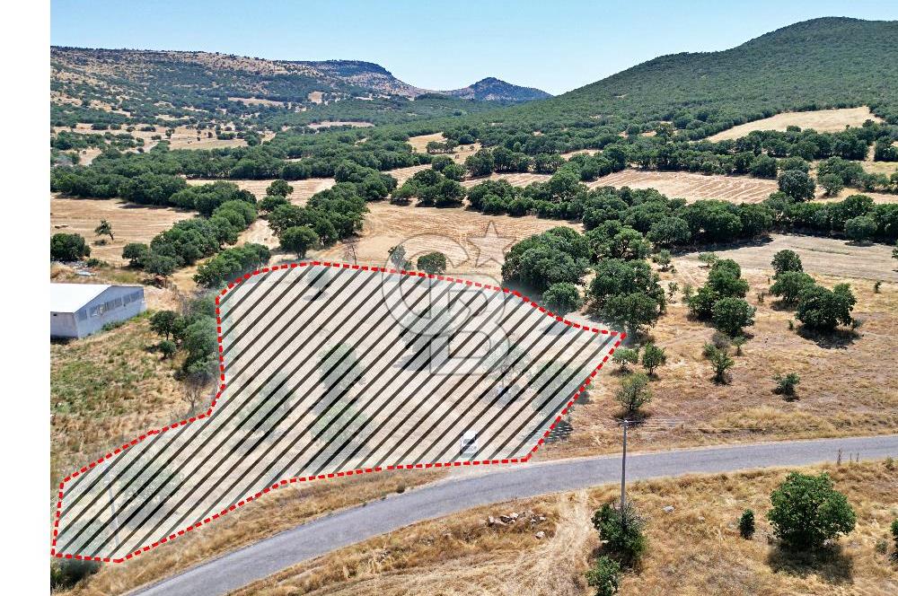CB OPİA'DAN ELEKTRİK VE SU HATTI BULUNAN 5.631 m² SATILIK TARLA