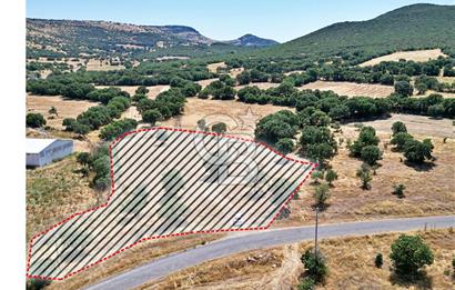 CB OPİA'DAN ELEKTRİK VE SU HATTI BULUNAN 5.631 m² SATILIK TARLA