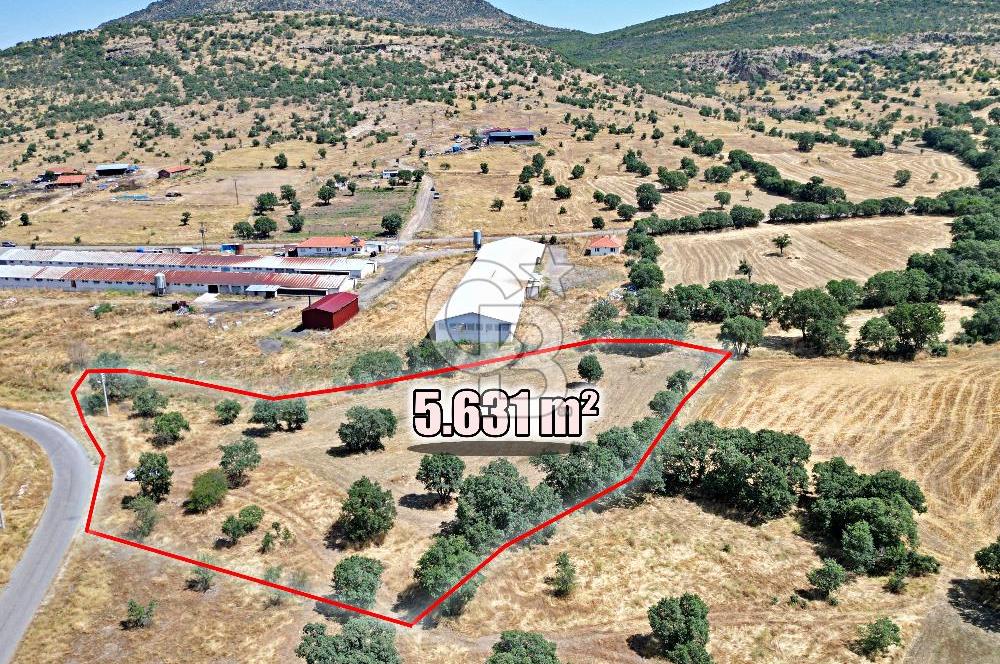 CB OPİA'DAN ELEKTRİK VE SU HATTI BULUNAN 5.631 m² SATILIK TARLA