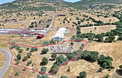 CB OPİA'DAN ELEKTRİK VE SU HATTI BULUNAN 5.631 m² SATILIK TARLA