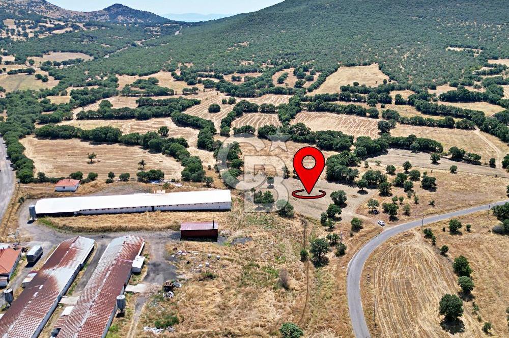 CB OPİA'DAN ELEKTRİK VE SU HATTI BULUNAN 5.631 m² SATILIK TARLA