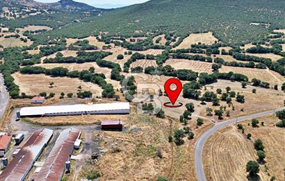 CB OPİA'DAN ELEKTRİK VE SU HATTI BULUNAN 5.631 m² SATILIK TARLA