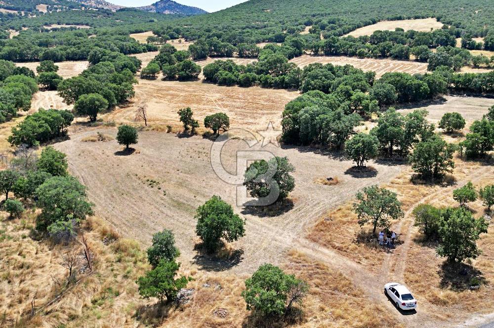 CB OPİA'DAN ELEKTRİK VE SU HATTI BULUNAN 5.631 m² SATILIK TARLA