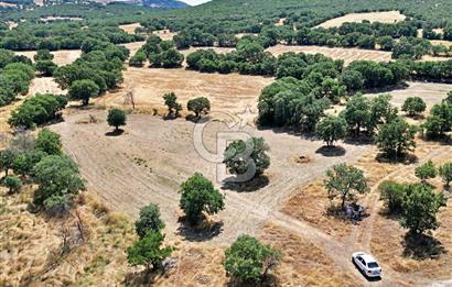 CB OPİA'DAN ELEKTRİK VE SU HATTI BULUNAN 5.631 m² SATILIK TARLA