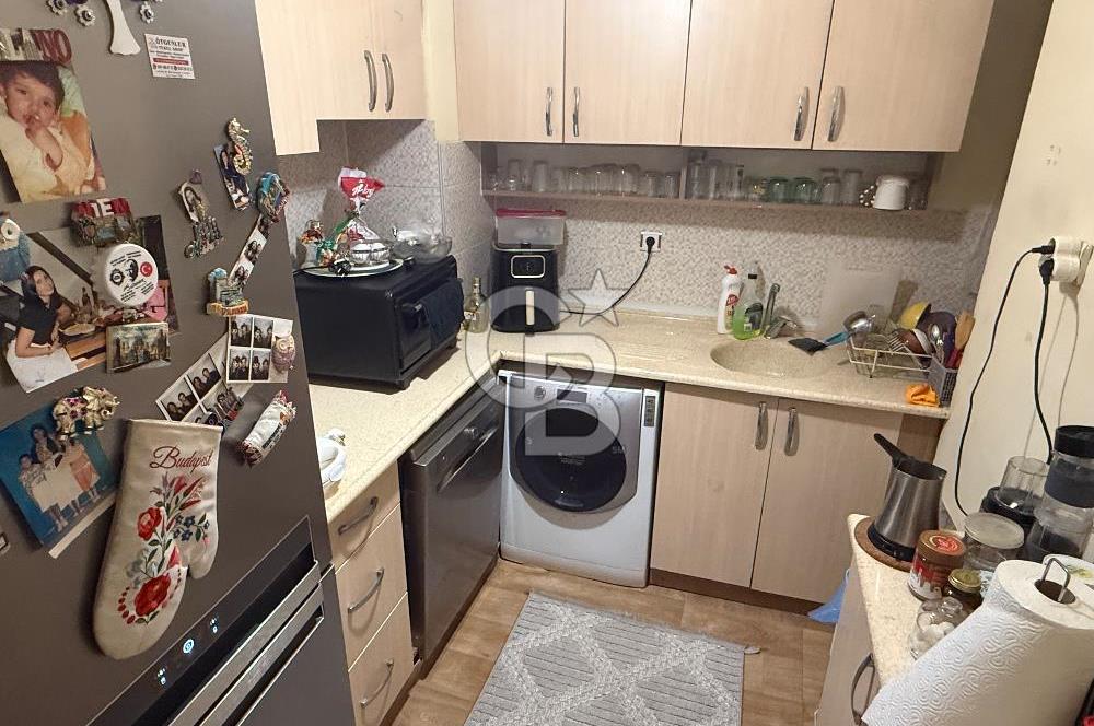 Seyrek kiralık