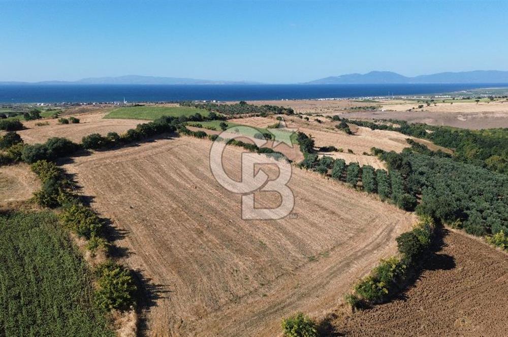 BALIKESİR GÖNEN KINALAR MAHALLESİ'NDE SATILIIK  ARAZİ