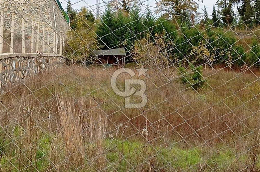 YALOVA MERKEZ ÖRENCİK KÖYÜ'NDE 1.165,90 m² İMARLI, PROJESİ HAZIR ÖZEL ARSA