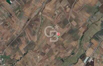 TEKİRDAĞ SARAY  BEYAZKÖY SATILIK HİSSELİ TARLA