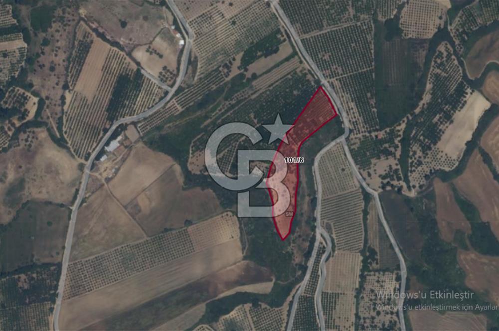 Çanakkale Lapseki’de Yola Cepheli, Meyve Ağaçlı Yatırımlık Tarla