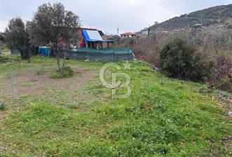 ARMUTLU KAPAKLI'DA 103 M² MÜSTAKİL PARSEL - 1 - 363948