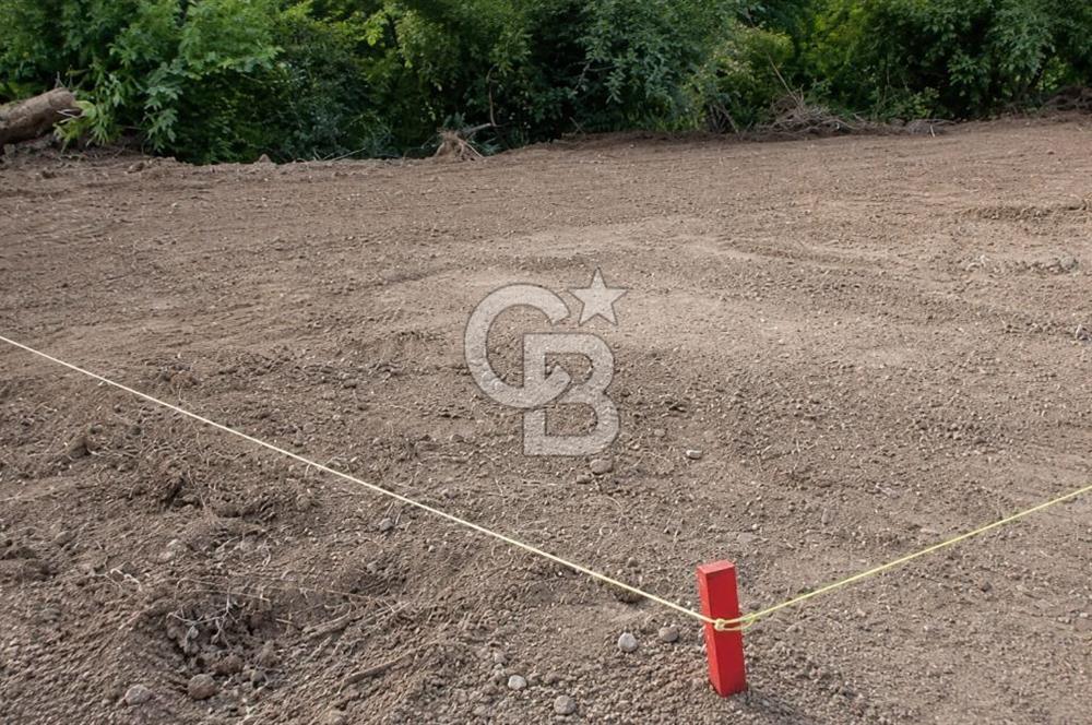 ARMUTLU KAPAKLI'DA 103 M² MÜSTAKİL PARSEL