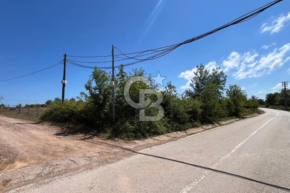 KANDIRA BABALIDA SATILIK CADDE ÜZERİ 2.700m2 ARAZİ