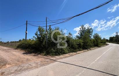 KANDIRA BABALIDA SATILIK CADDE ÜZERİ 2.700m2 ARAZİ