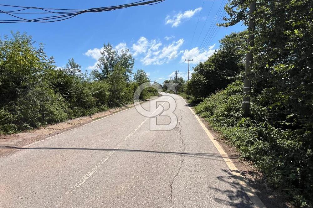KANDIRA BABALIDA SATILIK CADDE ÜZERİ 2.700m2 ARAZİ