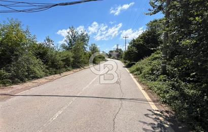 KANDIRA BABALIDA SATILIK CADDE ÜZERİ 2.700m2 ARAZİ