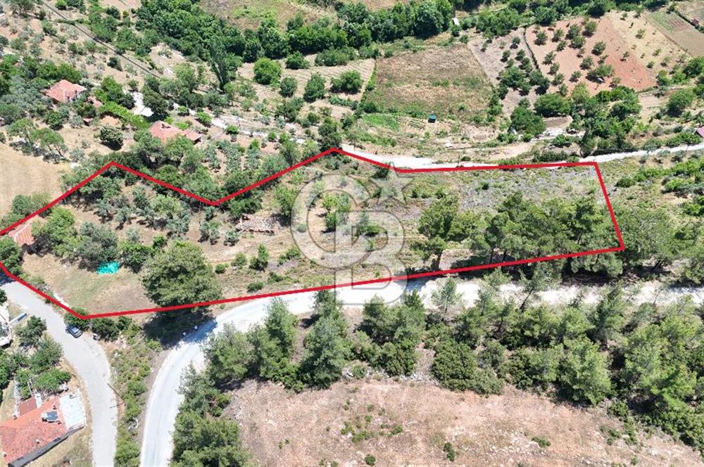 MUĞLA KAVAKLIDERE SALKIMDA 7577 m2 SATILIK EV & TARLA