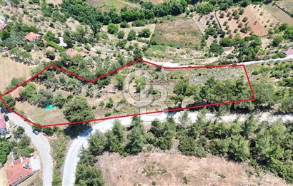 MUĞLA KAVAKLIDERE SALKIMDA 7577 m2 SATILIK EV & TARLA