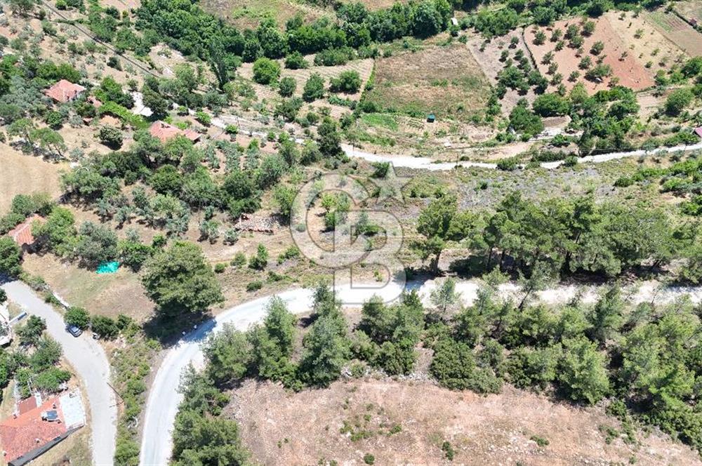 MUĞLA KAVAKLIDERE SALKIMDA 7577 m2 SATILIK EV & TARLA