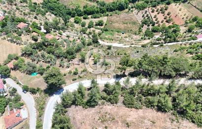 MUĞLA KAVAKLIDERE SALKIMDA 7577 m2 SATILIK EV & TARLA