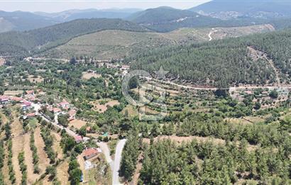 MUĞLA KAVAKLIDERE SALKIMDA 7577 m2 SATILIK EV & TARLA
