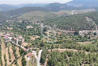 MUĞLA KAVAKLIDERE SALKIMDA 7577 m2 SATILIK EV & TARLA - 2 - 363980