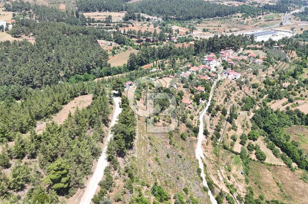 MUĞLA KAVAKLIDERE SALKIMDA 7577 m2 SATILIK EV & TARLA