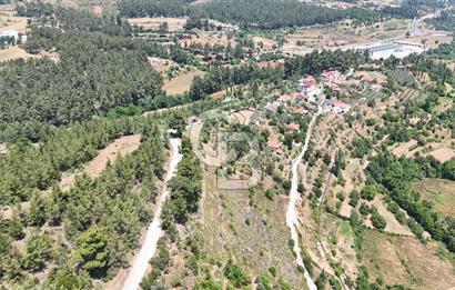 MUĞLA KAVAKLIDERE SALKIMDA 7577 m2 SATILIK EV & TARLA