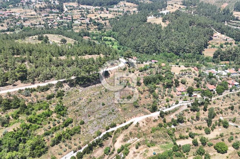 MUĞLA KAVAKLIDERE SALKIMDA 7577 m2 SATILIK EV & TARLA