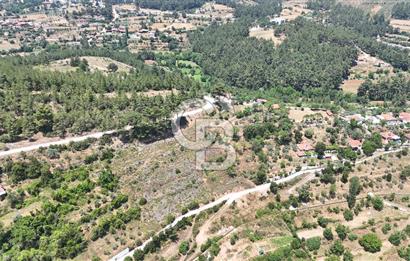 MUĞLA KAVAKLIDERE SALKIMDA 7577 m2 SATILIK EV & TARLA